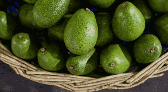 images/1726212337968avocado processing, packaging.png